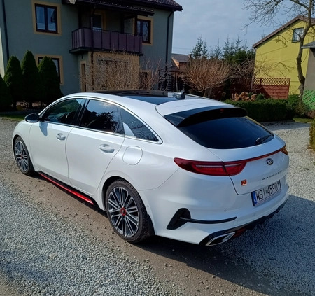 Kia Pro_cee'd cena 114800 przebieg: 79350, rok produkcji 2020 z Siedlce małe 154